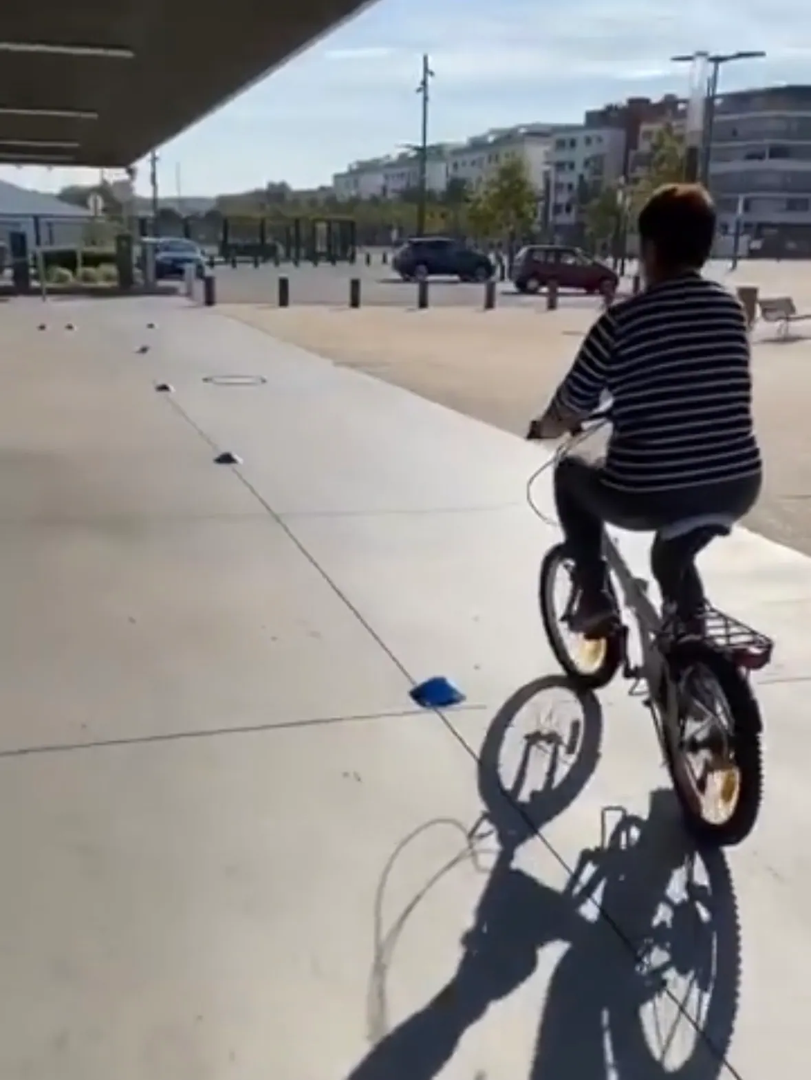 Apprentissage du vélo avec Wild Bike